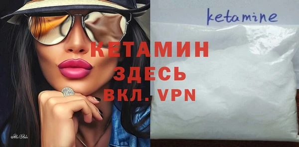 шишки Гусь-Хрустальный