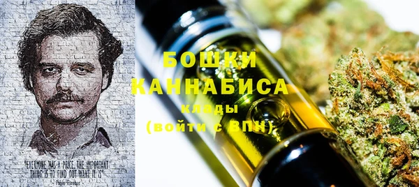 тгк Горнозаводск
