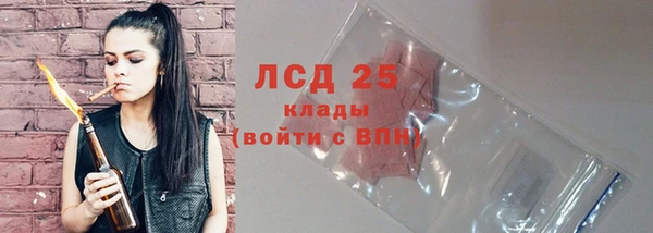 тгк Горнозаводск