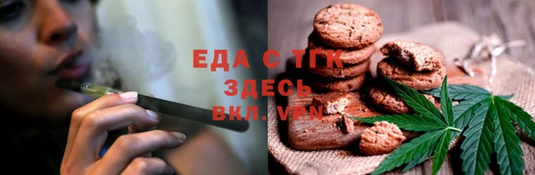гашик Гусев