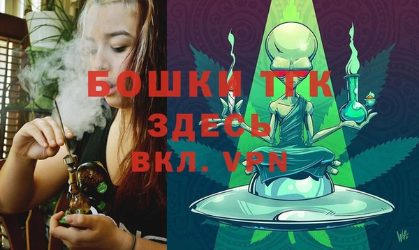 тгк Горнозаводск