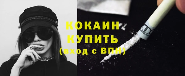 кокс Дмитриев
