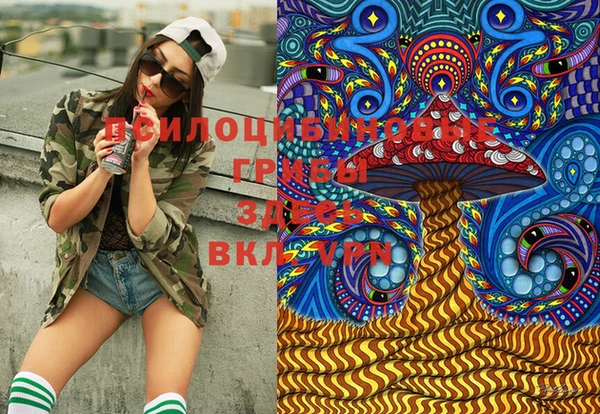 марки lsd Дмитровск
