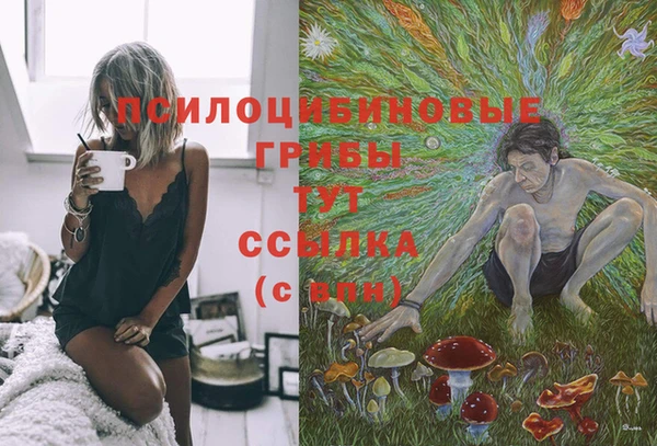меф Горняк
