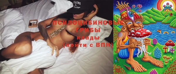 прущий лед Дмитров
